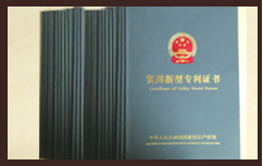  荣誉